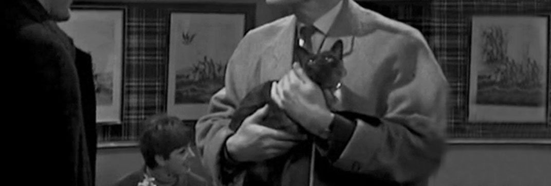 Francis Durbridge Presents: A Game of Murder – “Episode 5”