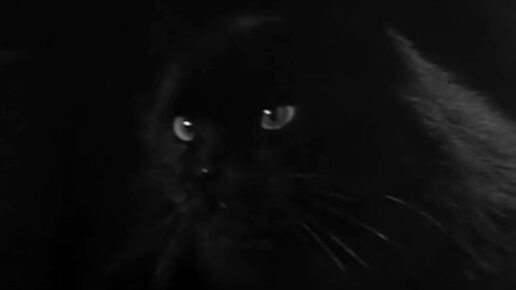 The Headless Ghost (1959)