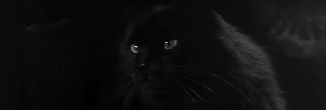 The Headless Ghost (1959)