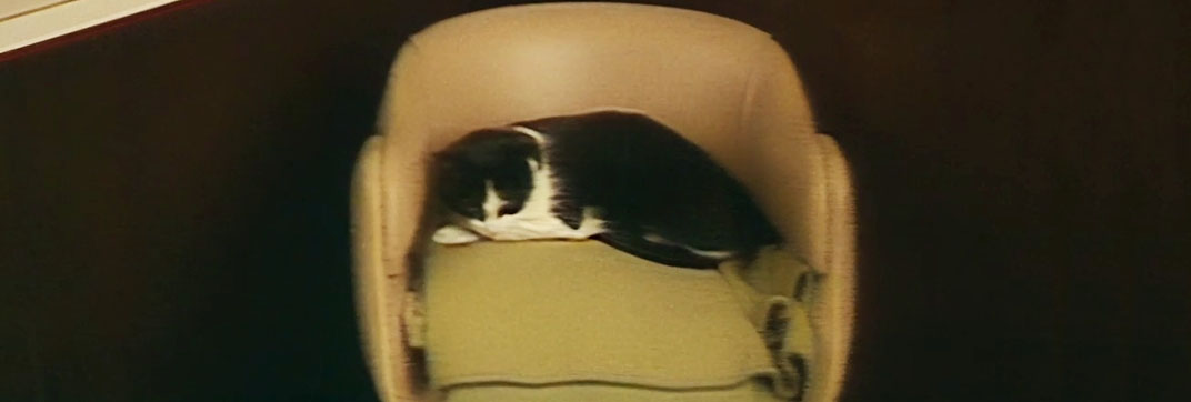 Houseboat Horror (1989)