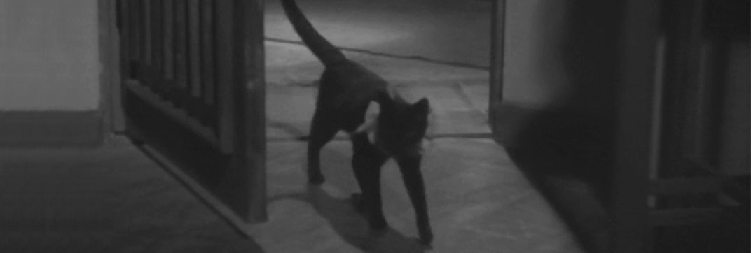 Tômei ningen arawaru (1949)