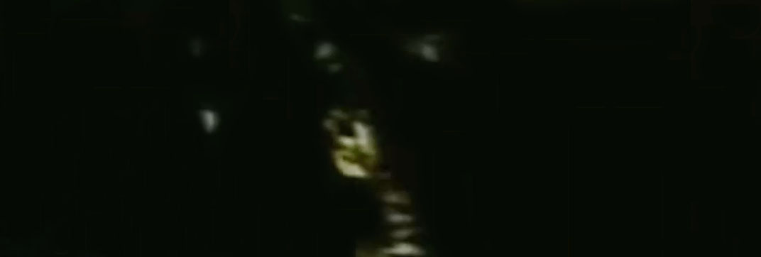 It Don’t Come Easy (1971)