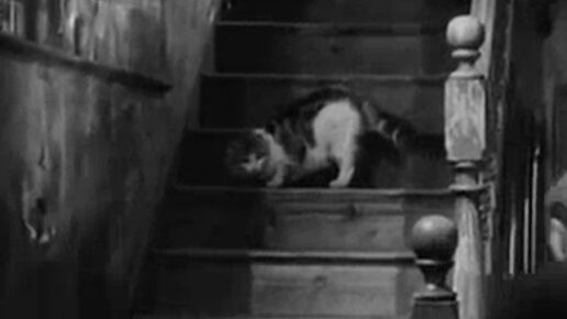 Payroll (1961)