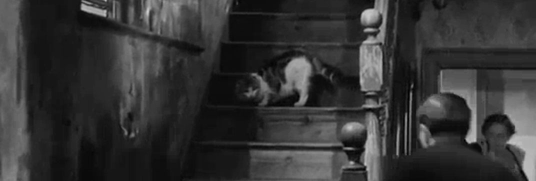 Payroll (1961)