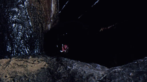 The Witchmaker (1969)