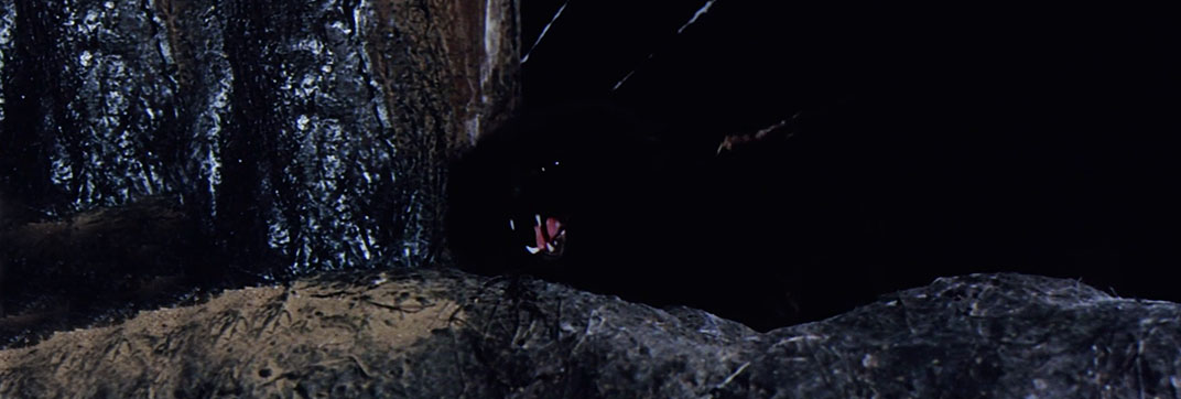 The Witchmaker (1969)