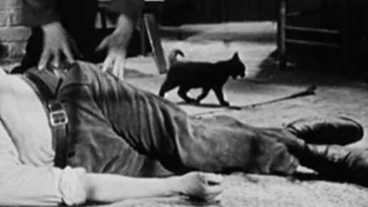 Against the Wind (1948)