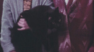 Color Me Red . . . (circa 1960’s)
