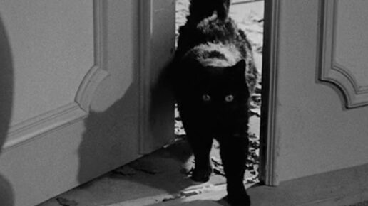 The Devil’s Eye (1960)