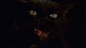 Don’t Be Afraid of the Dark (1973)