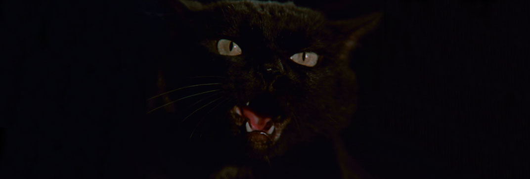 Don’t Be Afraid of the Dark (1973)