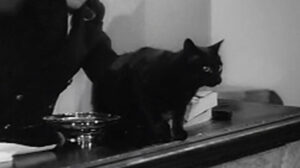 Forces’ Sweetheart (1953)