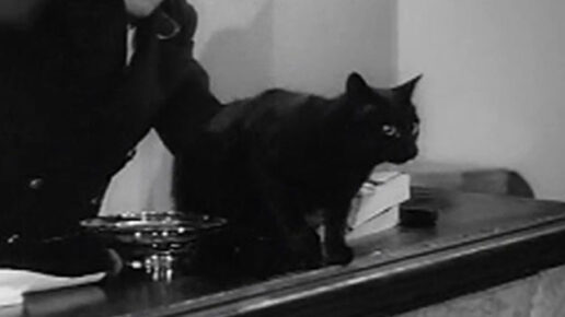 Forces’ Sweetheart (1953)