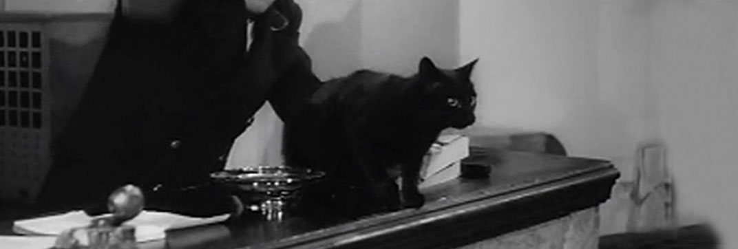 Forces’ Sweetheart (1953)