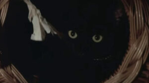 The Pyx (1973)