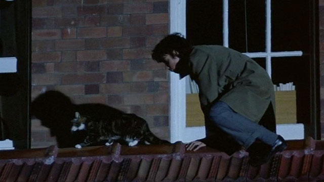 Flirting (1991) - Cinema Cats
