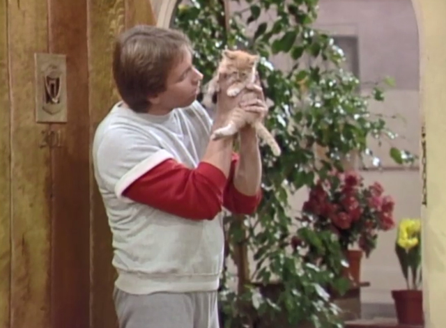 Three's Company - Look What I Found - Jack John Ritter holding ginger tabby kitten Cuddles Patches