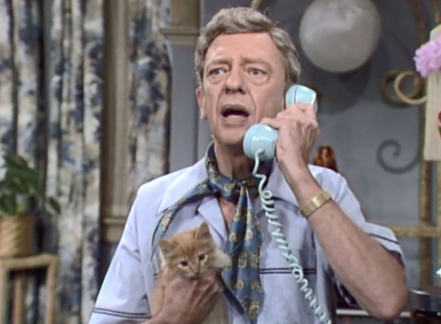 Three's Company - Look What I Found - Mr. Furley Don Knotts holding ginger tabby kitten Cuddles Patches while on phone